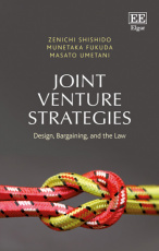 Joint Venture Strategies
