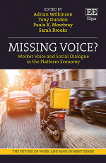 Missing Voice?