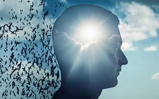 精神卫生法高级导论