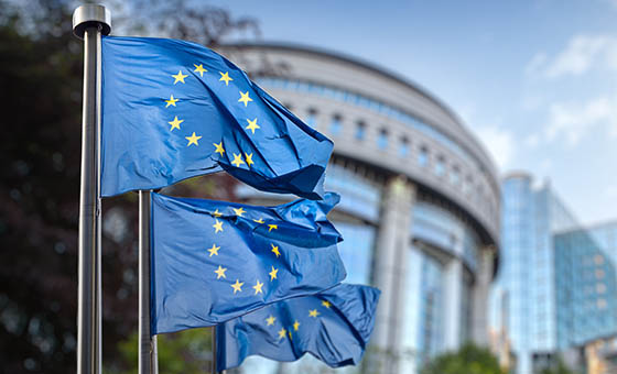 《欧洲政治新视野》