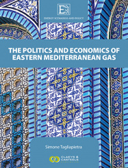 能源方案和政策卷三:东地中海天然气的政治和经济