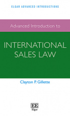 国际销售法先进