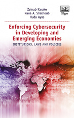 加强发展中国家和新兴经济体的网络安全