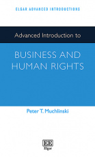 企业与人权高级导论